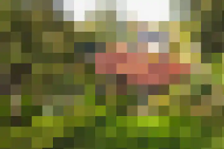 Haitsma Mulierlaan 16 Lochem thumbnail 42
