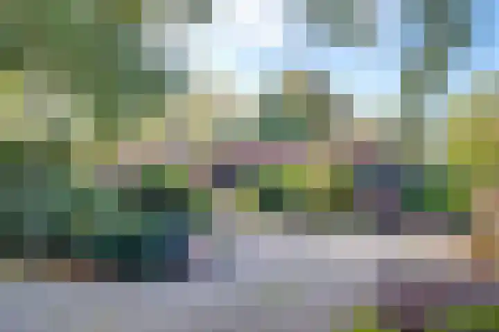 Haitsma Mulierlaan 16 Lochem thumbnail 43