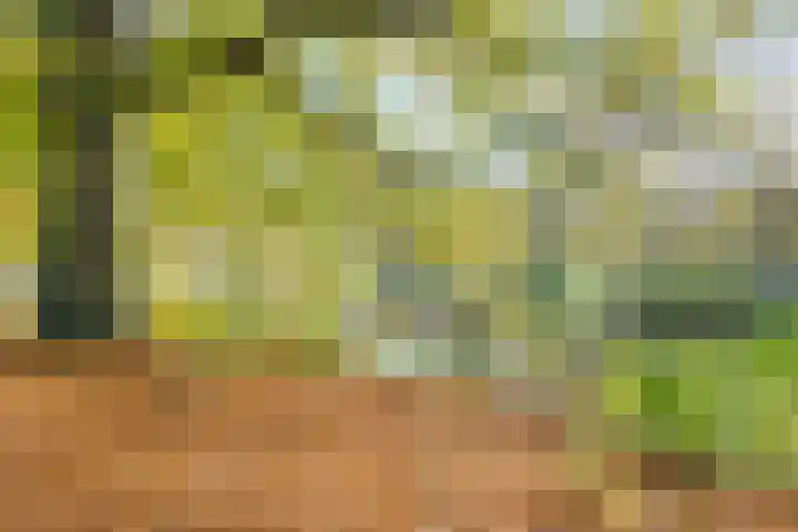 Haitsma Mulierlaan 16 Lochem thumbnail 44
