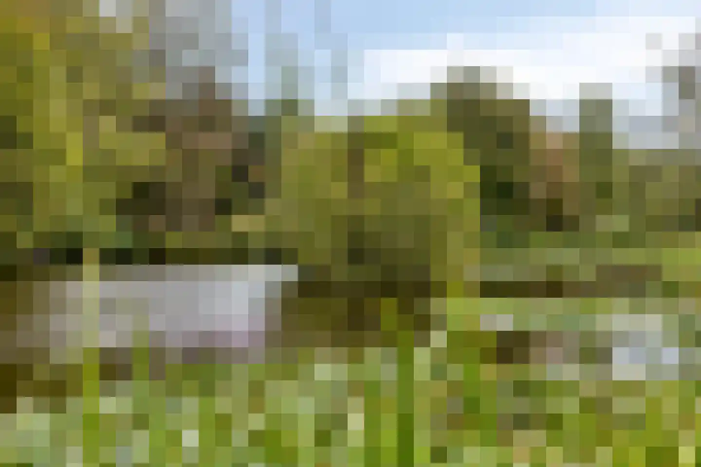 Haitsma Mulierlaan 18 a Lochem thumbnail 51