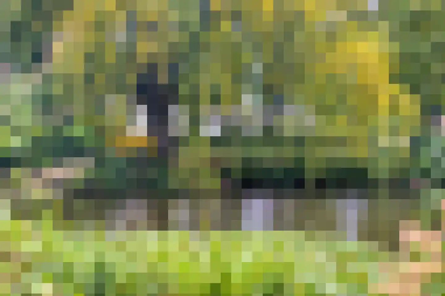 Haitsma Mulierlaan 18 a Lochem thumbnail 53
