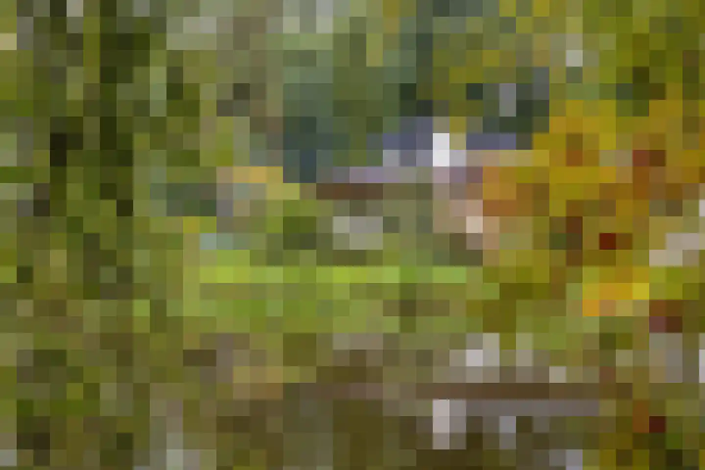 Haitsma Mulierlaan 18 a Lochem thumbnail 8