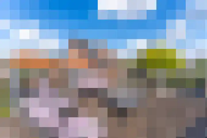 Haitsma Mulierweg 2 IV Winterswijk thumbnail 4