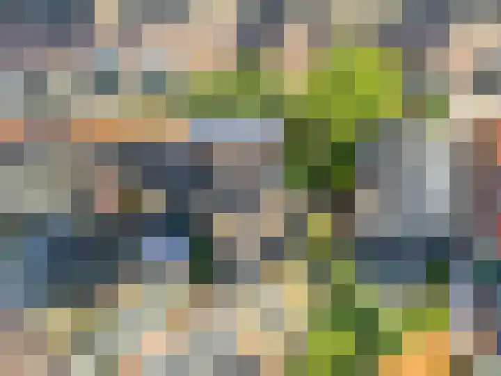 Haitsma Mulierweg 2 IV Winterswijk thumbnail 54