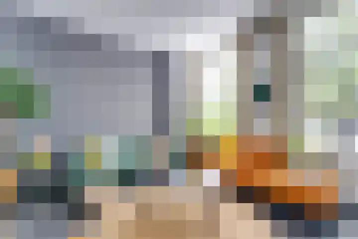 Haitsma Mulierweg 2 IV Winterswijk thumbnail 8