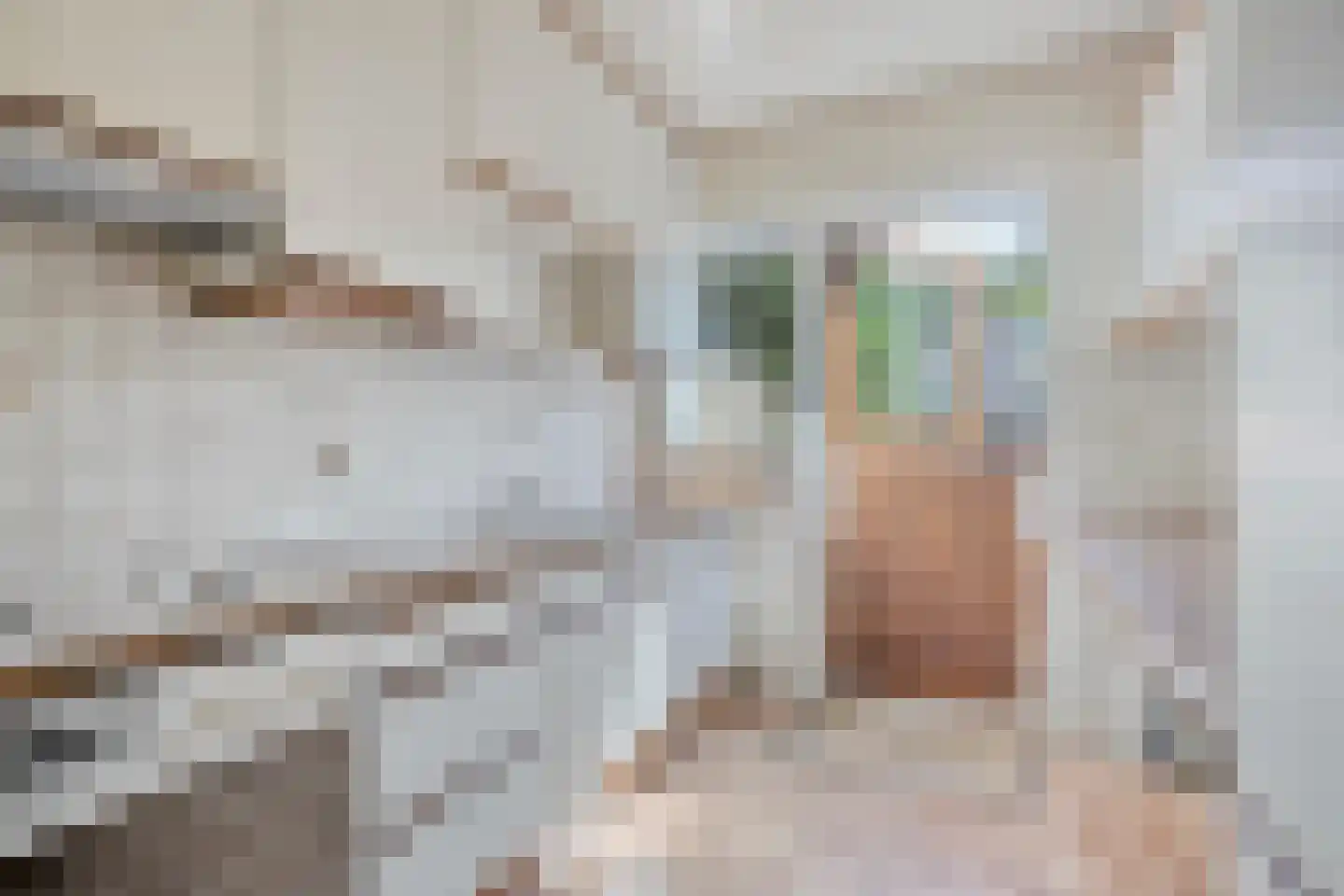 Hakebos 3 Koedijk thumbnail 16