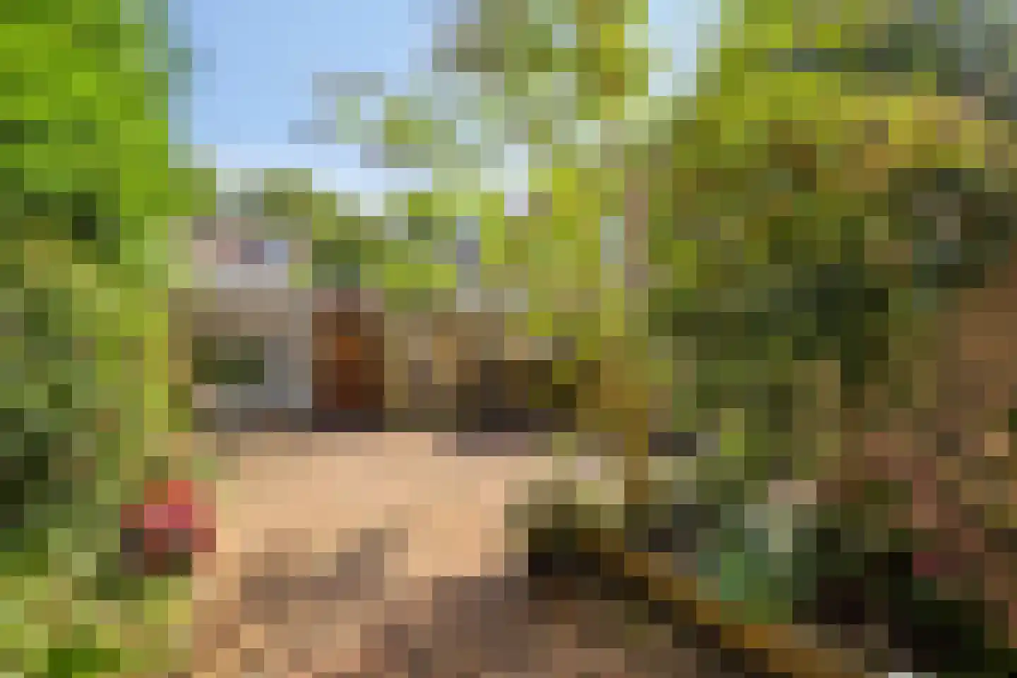 Hakebos 3 Koedijk thumbnail 18