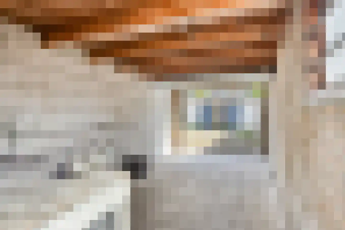 Hakebos 3 Koedijk thumbnail 20