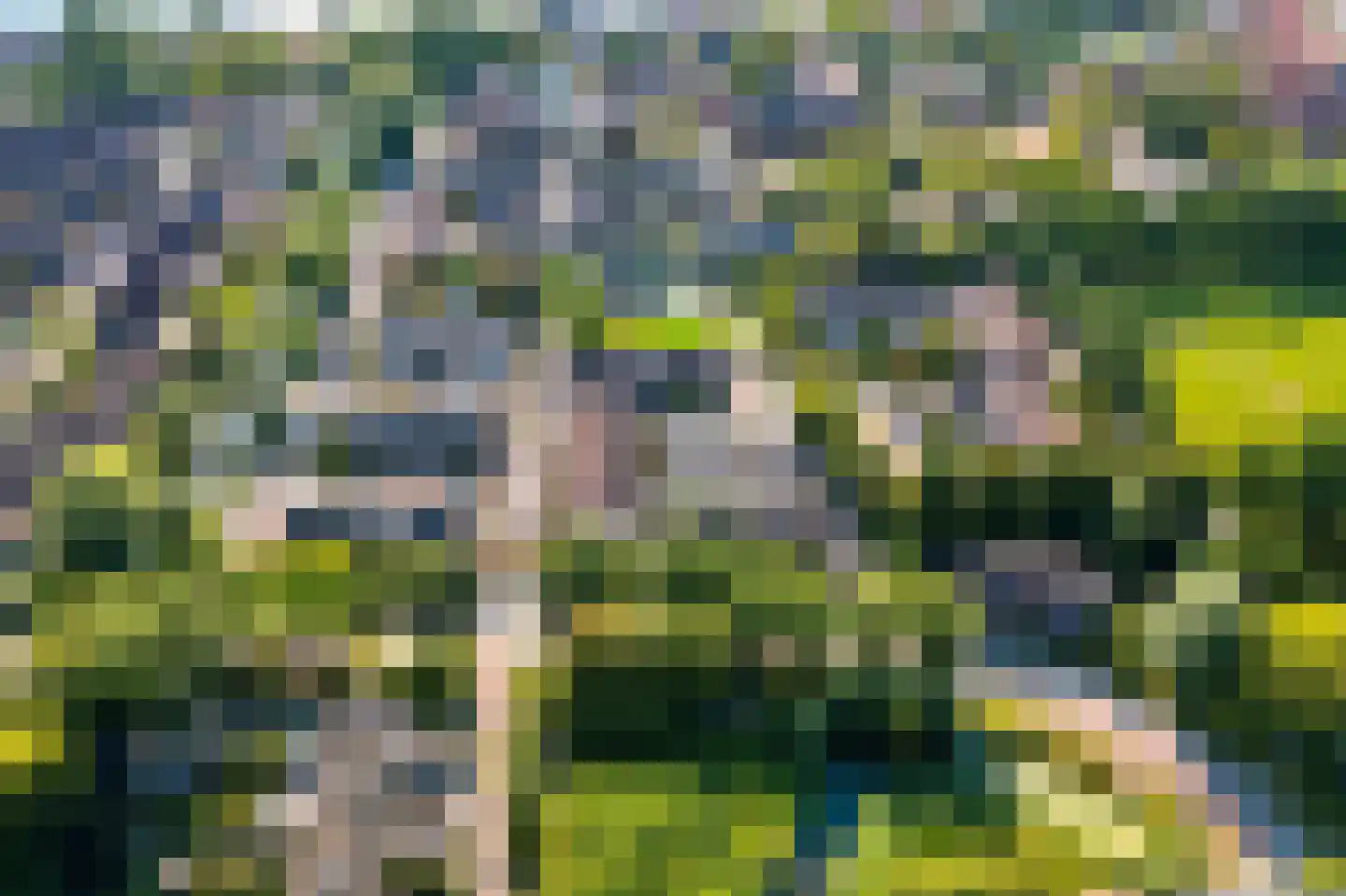 Hakebos 3 Koedijk thumbnail 23