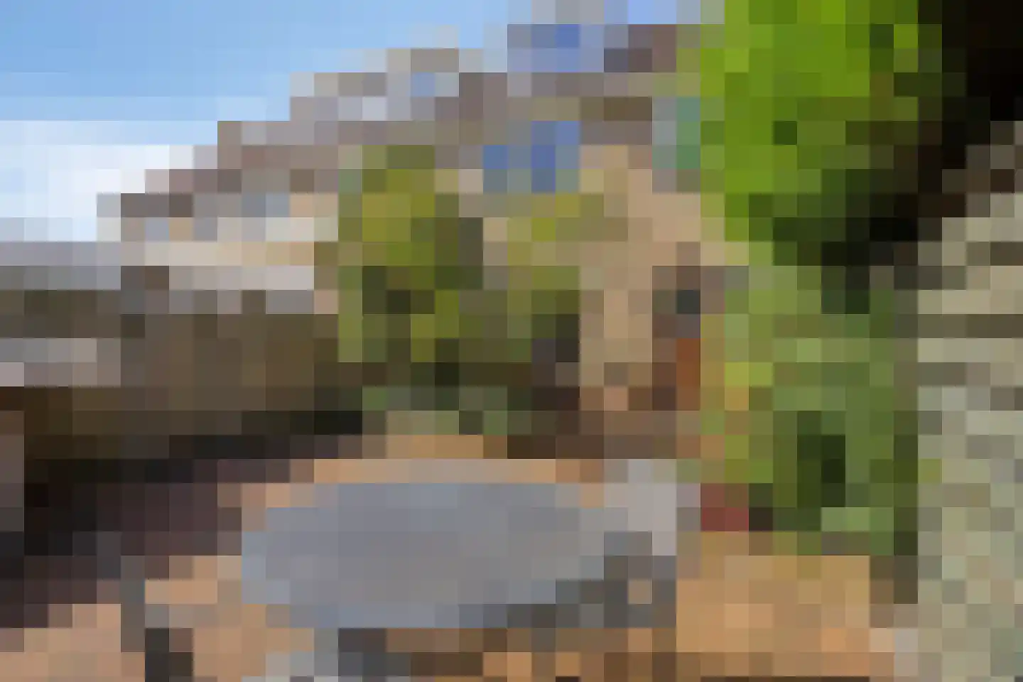 Hakebos 3 Koedijk thumbnail 24