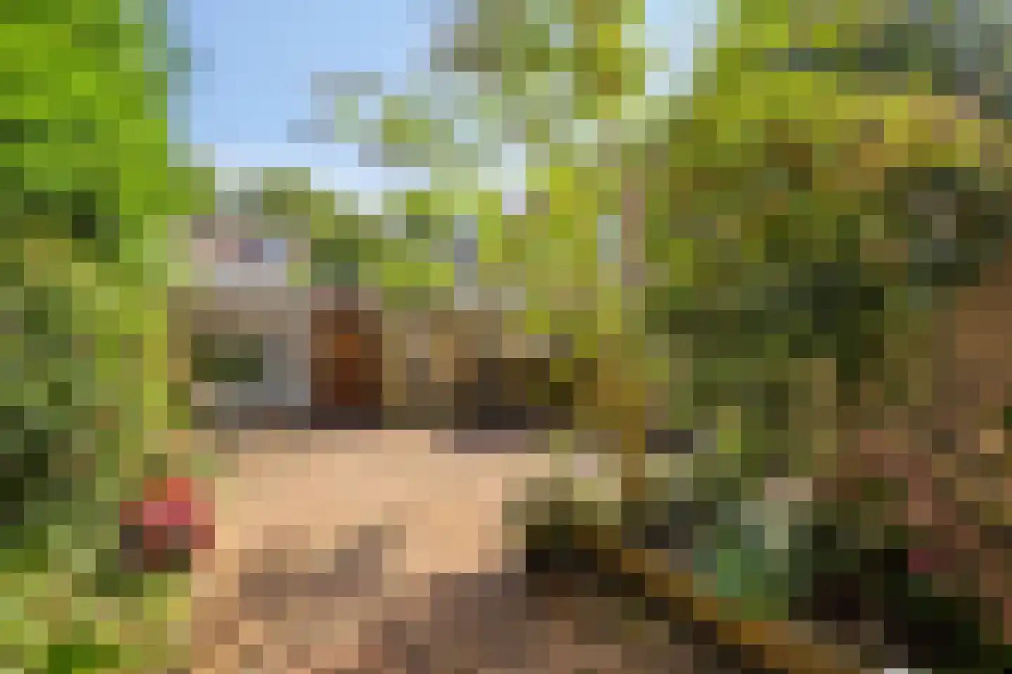 Hakebos 3 Koedijk foto 3