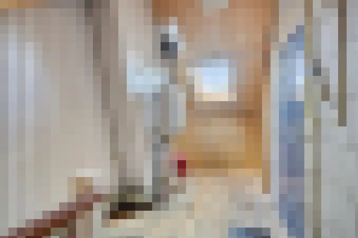 Hakebos 3 Koedijk thumbnail 34