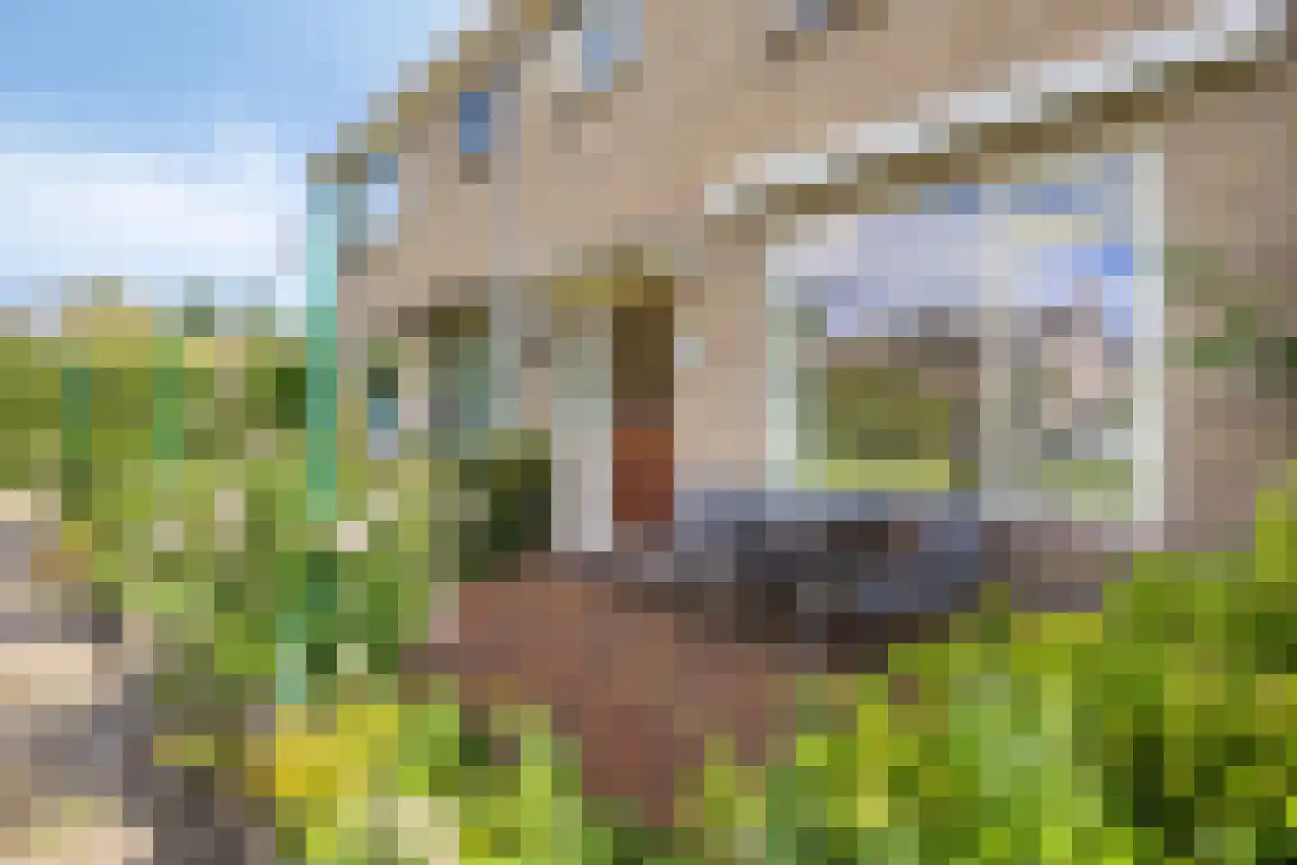 Hakebos 3 Koedijk thumbnail 37