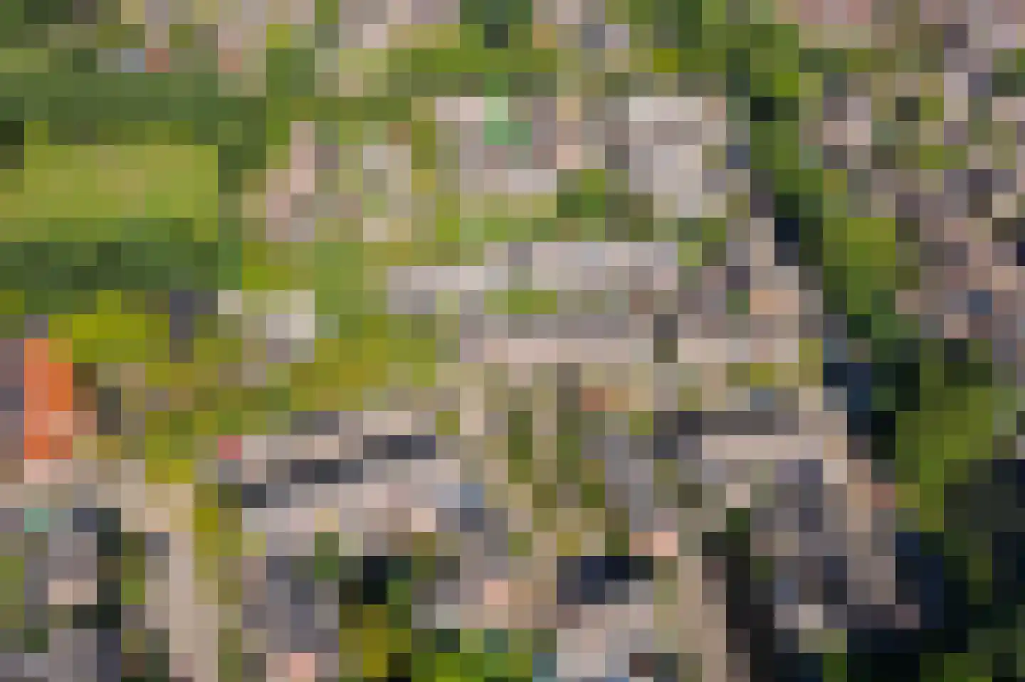Hakebos 3 Koedijk thumbnail 42