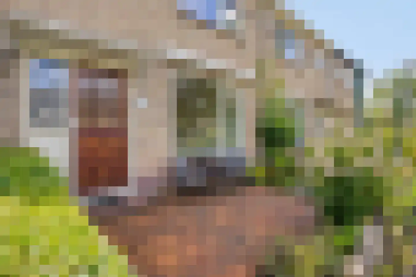 Hakebos 3 Koedijk thumbnail 8