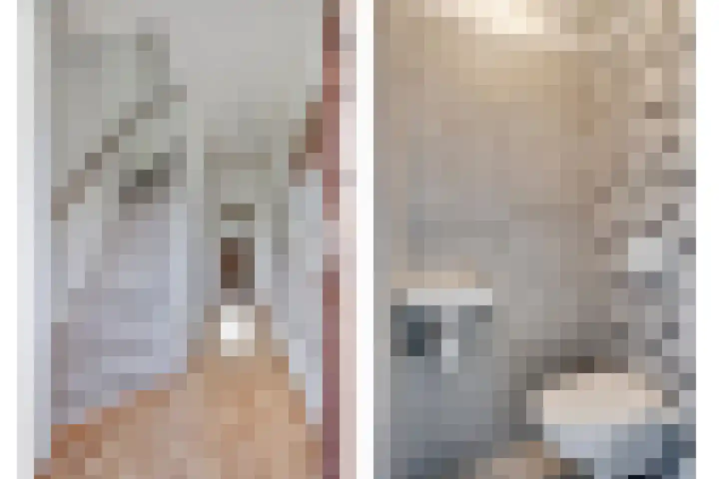 Hakebos 3 Koedijk thumbnail 9