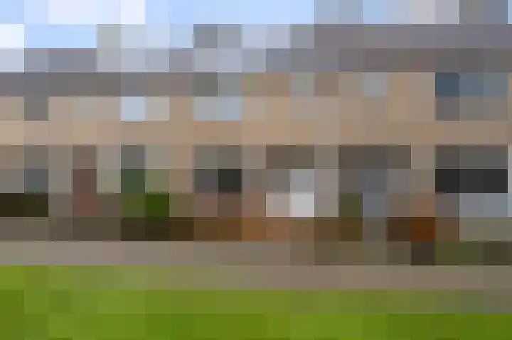 Hakebos 5 Koedijk