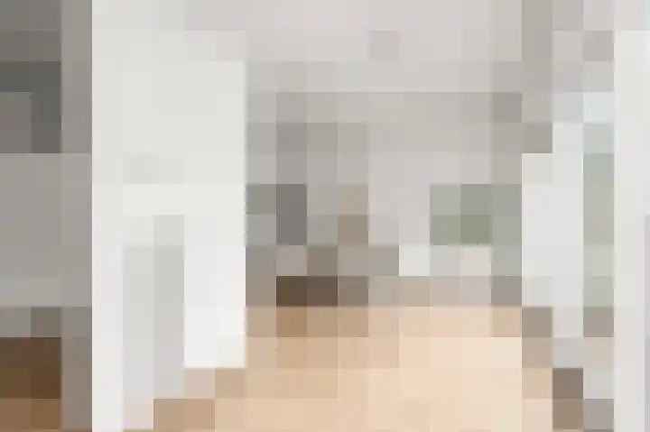 Hakebos 5 Koedijk thumbnail 10