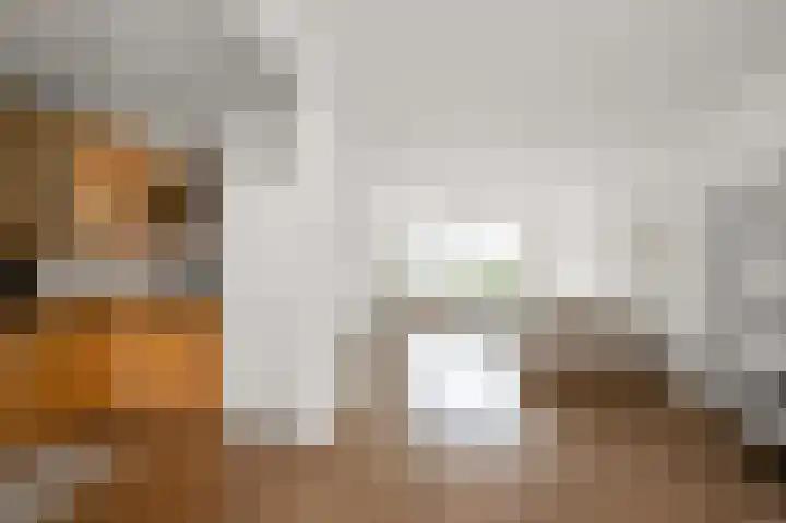 Hakebos 5 Koedijk thumbnail 12