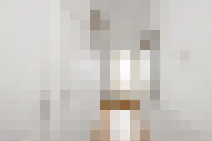 Hakebos 5 Koedijk thumbnail 13