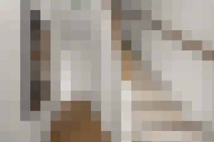 Hakebos 5 Koedijk thumbnail 15