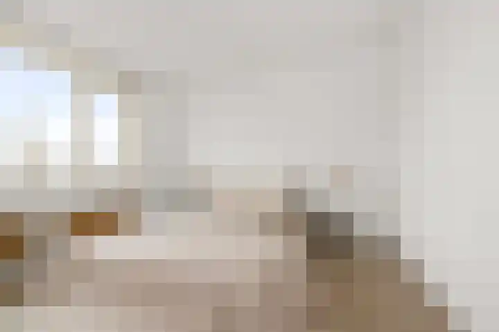 Hakebos 5 Koedijk thumbnail 16