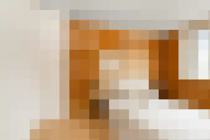 Hakebos 5 Koedijk thumbnail 19