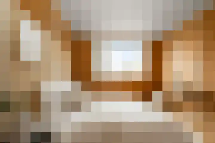 Hakebos 5 Koedijk thumbnail 20