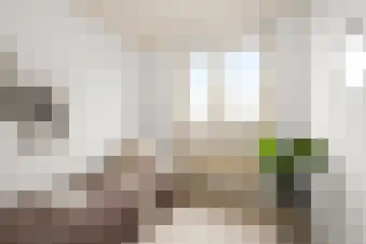 Hakebos 5 Koedijk thumbnail 23