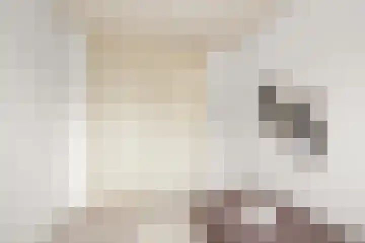 Hakebos 5 Koedijk thumbnail 24