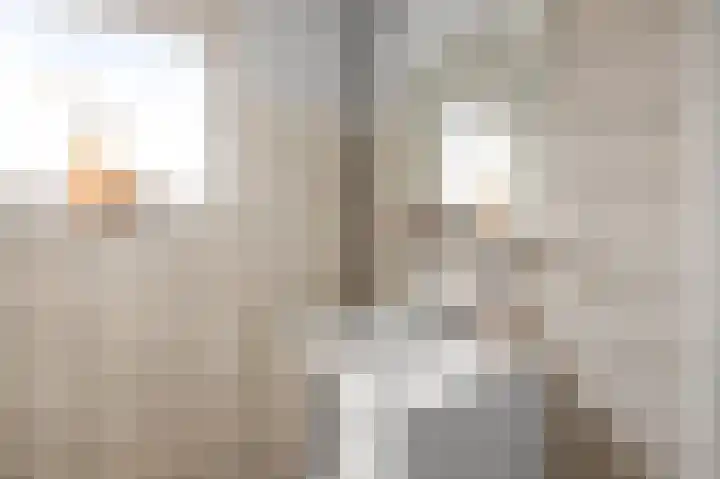 Hakebos 5 Koedijk thumbnail 25