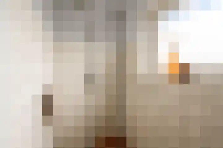 Hakebos 5 Koedijk thumbnail 26