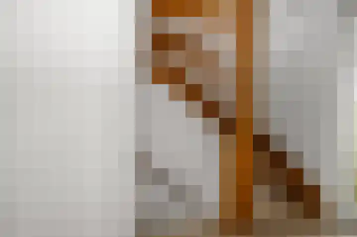 Hakebos 5 Koedijk thumbnail 27