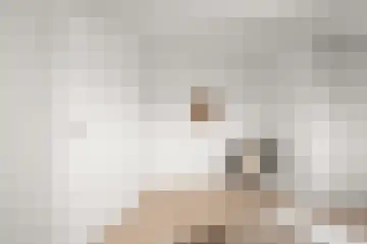 Hakebos 5 Koedijk thumbnail 31