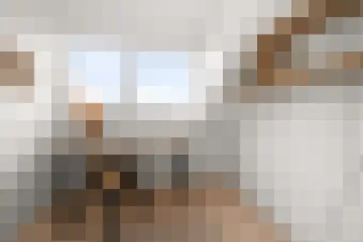 Hakebos 5 Koedijk thumbnail 32