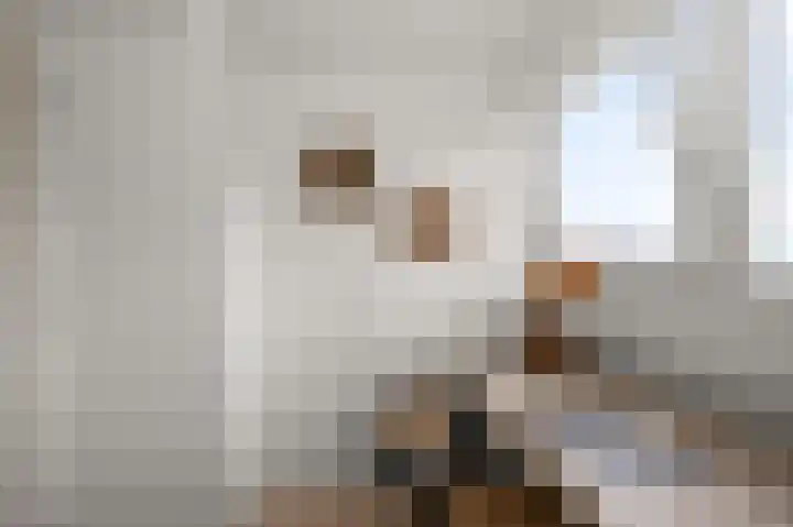 Hakebos 5 Koedijk thumbnail 33
