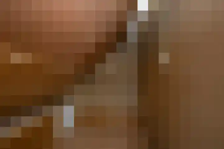 Hakebos 5 Koedijk thumbnail 36