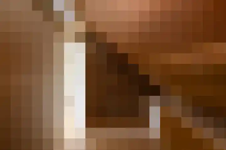 Hakebos 5 Koedijk thumbnail 37