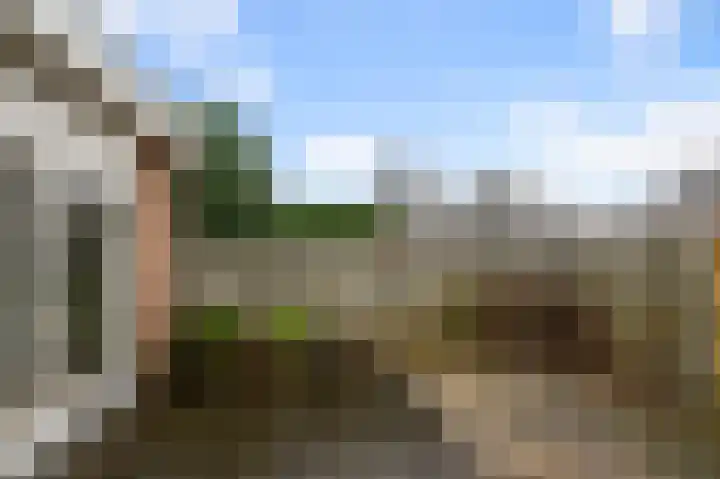 Hakebos 5 Koedijk thumbnail 38