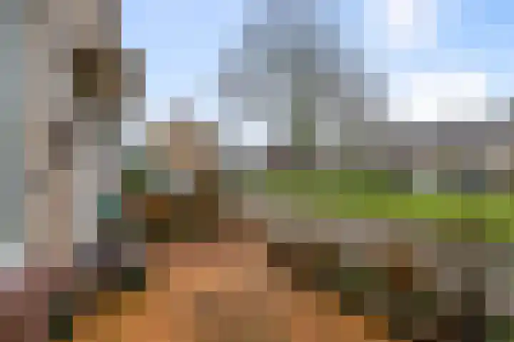 Hakebos 5 Koedijk thumbnail 41