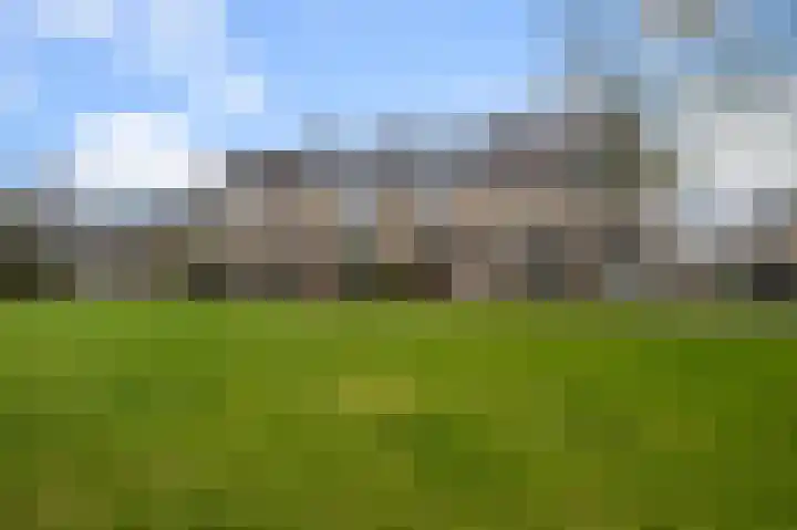 Hakebos 5 Koedijk thumbnail 42