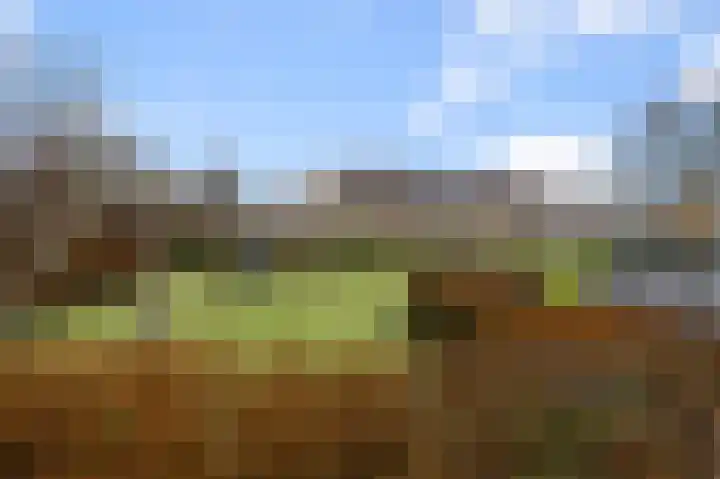 Hakebos 5 Koedijk thumbnail 43