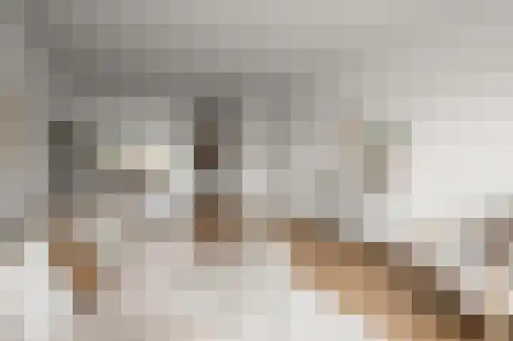 Hakebos 5 Koedijk thumbnail 5
