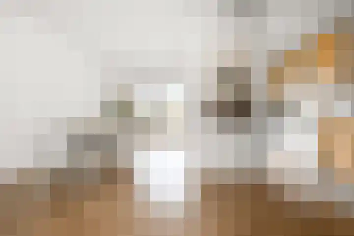 Hakebos 5 Koedijk thumbnail 7