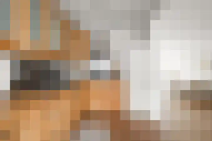 Hakebos 5 Koedijk thumbnail 9