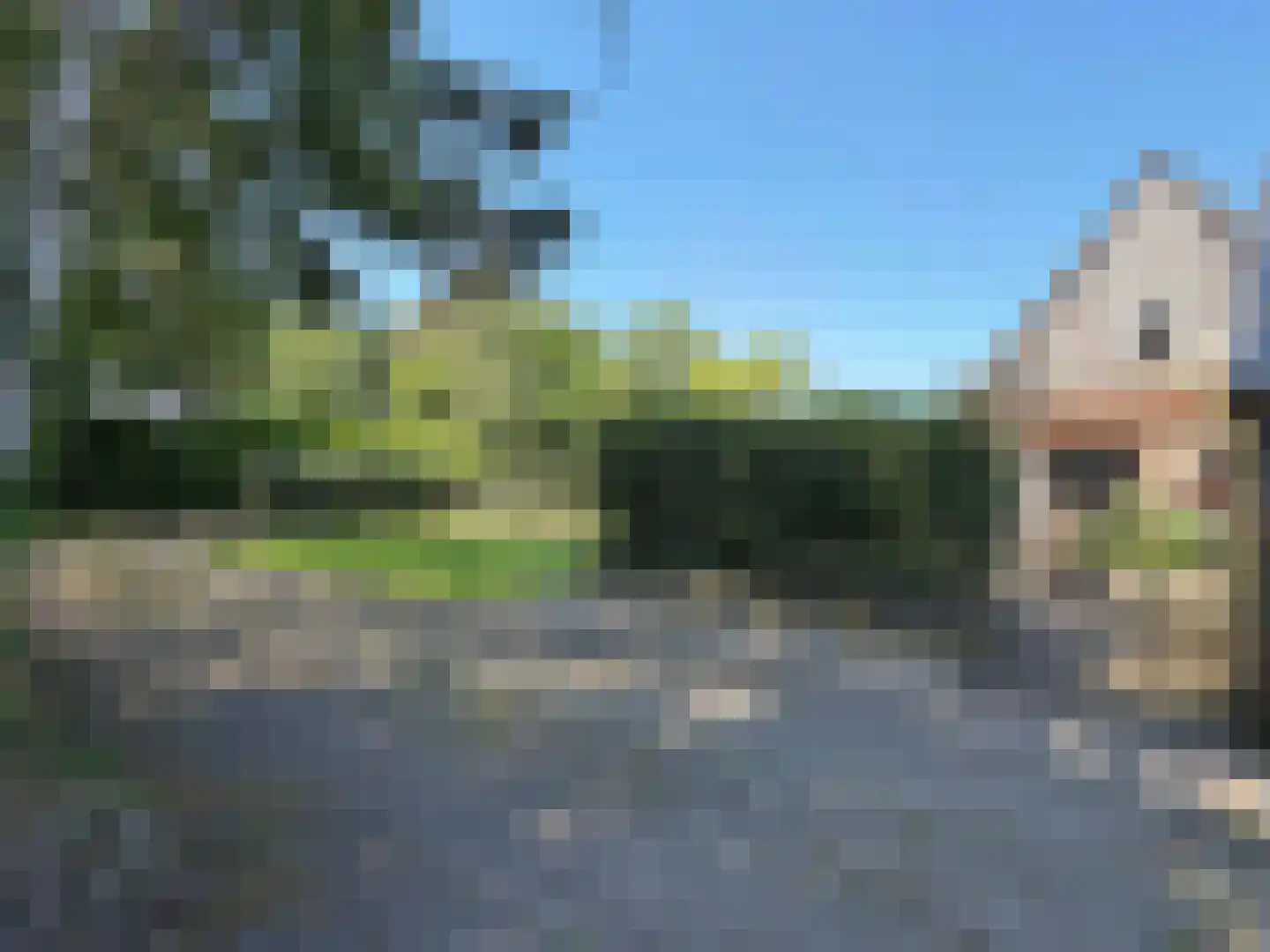 Hakenbosch 3 Dalerveen thumbnail 11