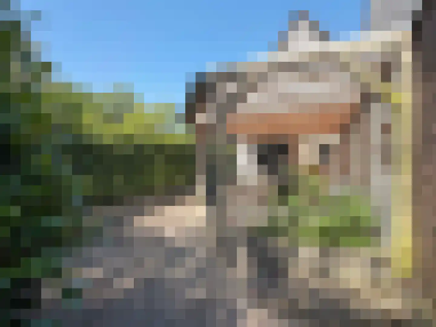 Hakenbosch 3 Dalerveen thumbnail 12
