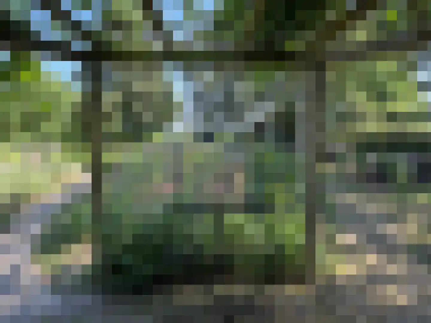 Hakenbosch 3 Dalerveen thumbnail 15
