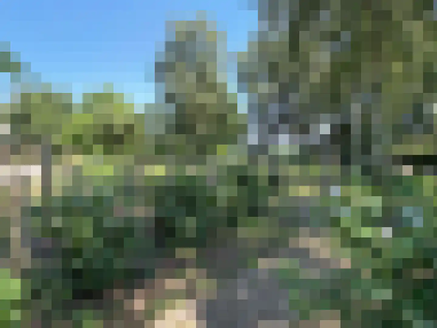 Hakenbosch 3 Dalerveen thumbnail 16