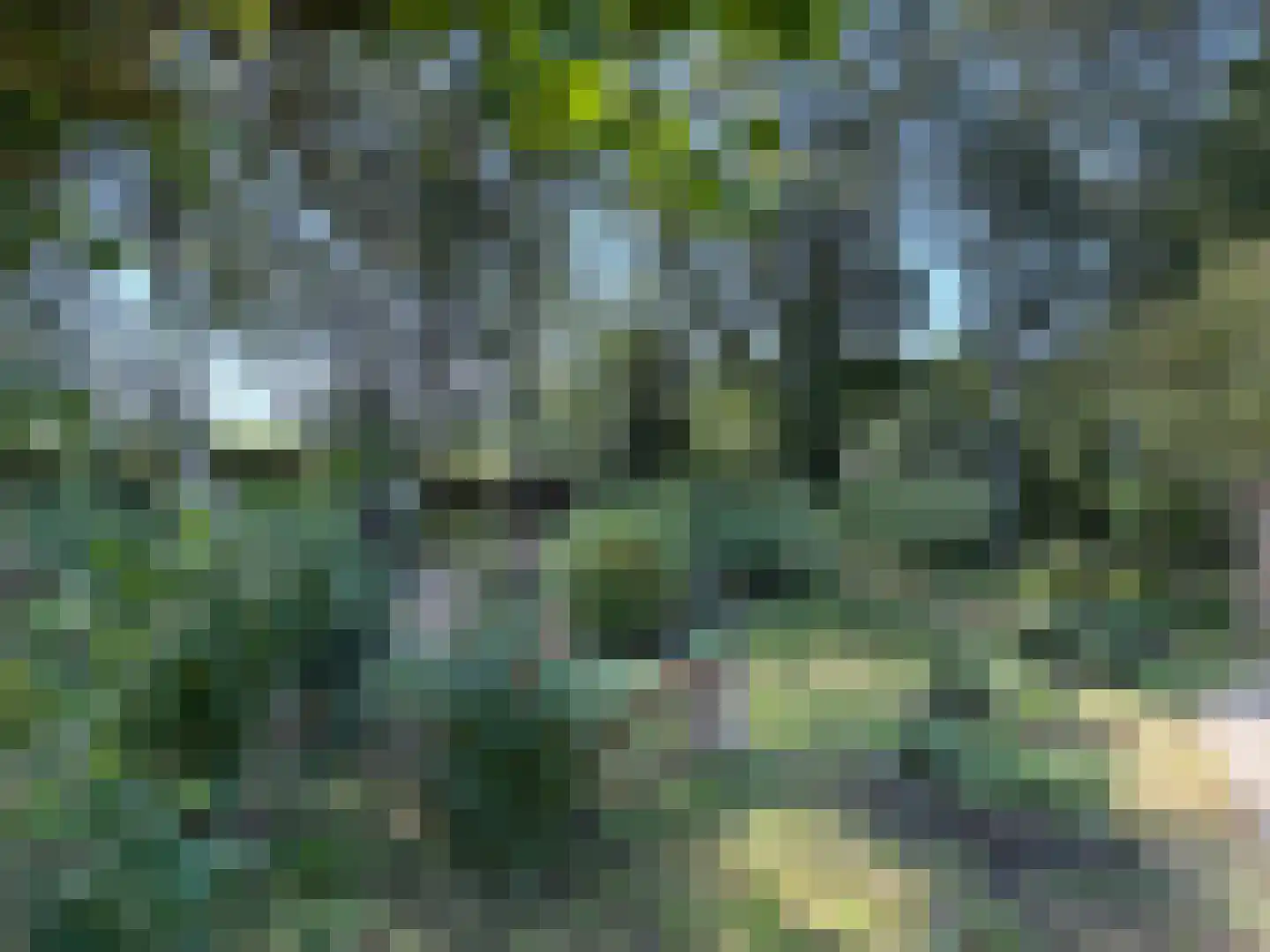 Hakenbosch 3 Dalerveen thumbnail 17